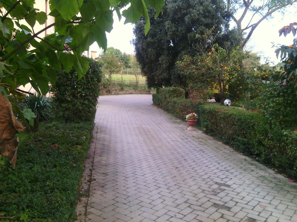 Agriturismo Artisti Del Cavallo อาเรซโซ ภายนอก รูปภาพ